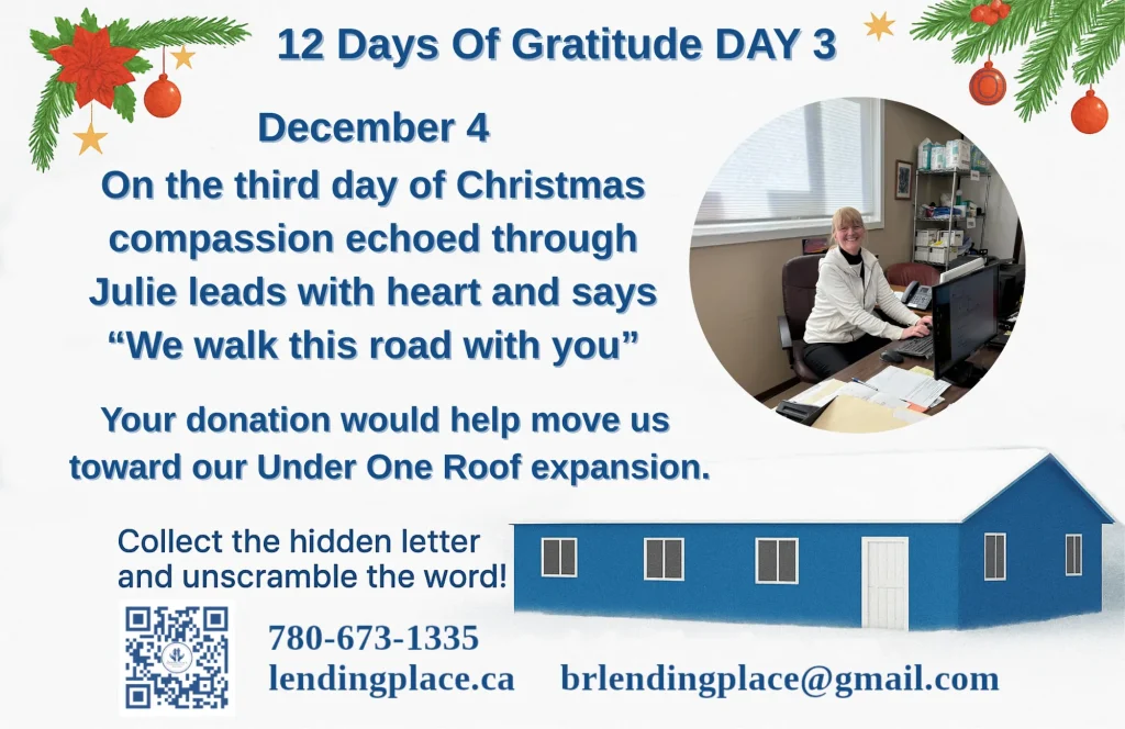 12 DAYS OF CHRISTMAS  GRATITUDE: Day 3
